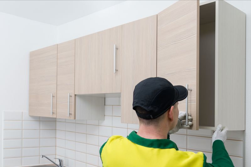 Kitchen Renovation Experts